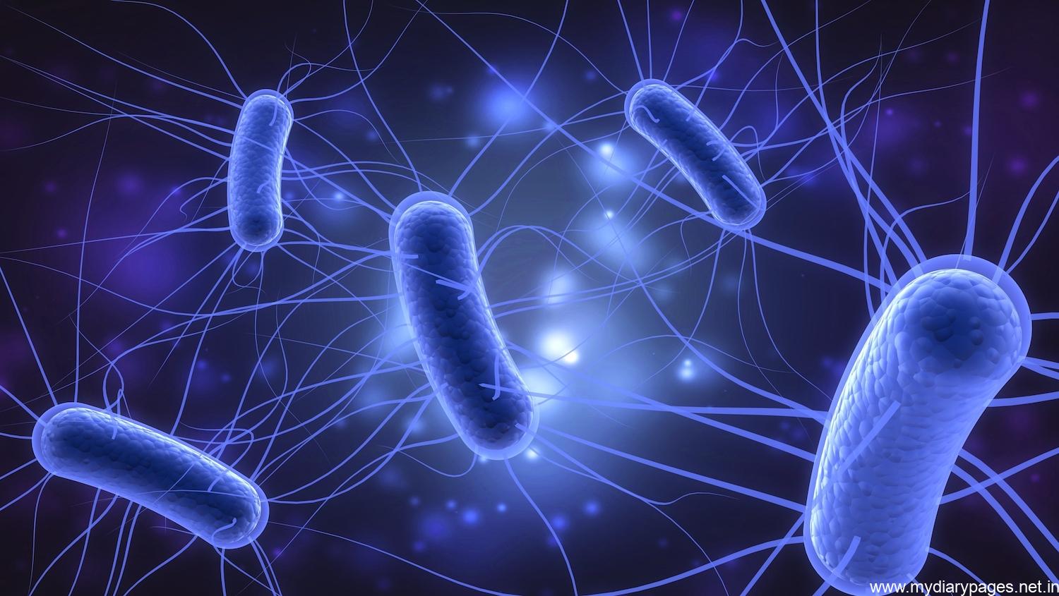 E. coli: Infection, Causes, Symptoms & Treatment