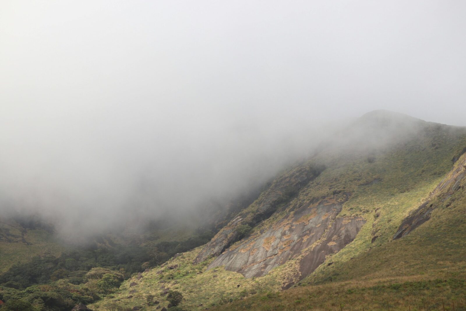 A serene foggy mountain scene in Munnar, showcasing nature's beauty in India.